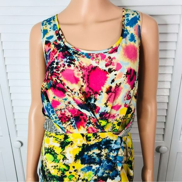 SACHIN + BABI For Ankasa Silk Printed Providence Dress Size 6 *NEW*