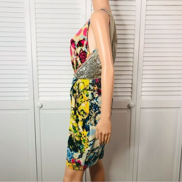 SACHIN + BABI For Ankasa Silk Printed Providence Dress Size 6 *NEW*