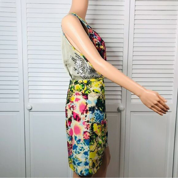 SACHIN + BABI For Ankasa Silk Printed Providence Dress Size 6 *NEW*