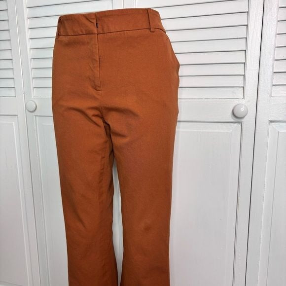 ELLIOTT LAUREN Rust Orange Cropped Pants Size 10