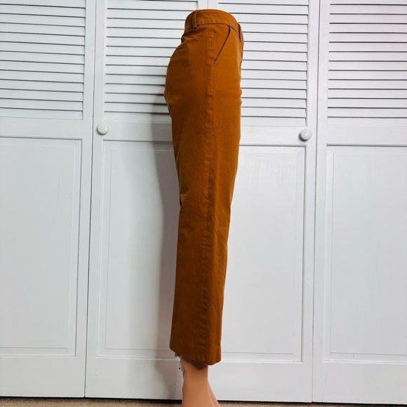 ELLIOTT LAUREN Rust Orange Cropped Pants Size 10
