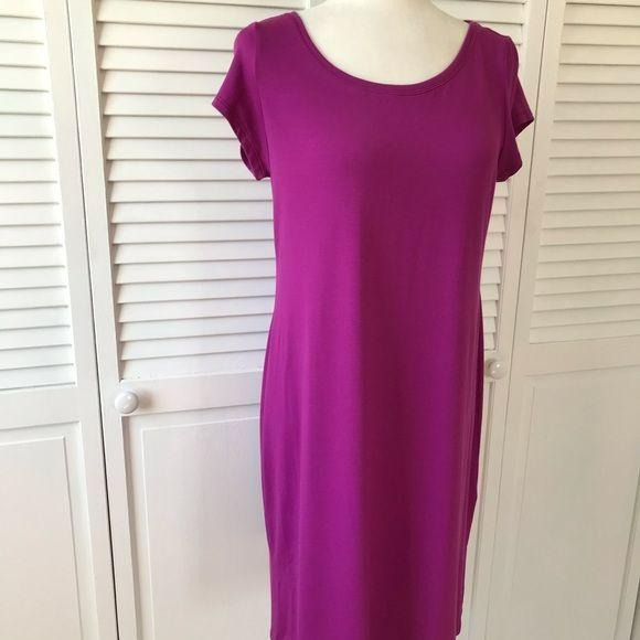 *NEW* EILEEN FISHER Hydra Bateau Neck Dress Size S