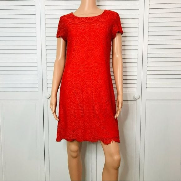 LAUNDRY Orange Lace Short Sleeve Dress Size 6