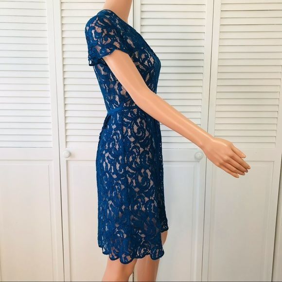 ADRIANNA PAPELL Royal Blue Lace Short Sleeve Dress Size 2