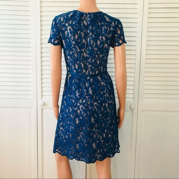 ADRIANNA PAPELL Royal Blue Lace Short Sleeve Dress Size 2