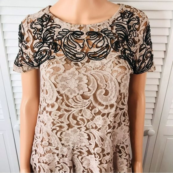 FREE PEOPLE Pink Lace Dreamer Dress Size XS