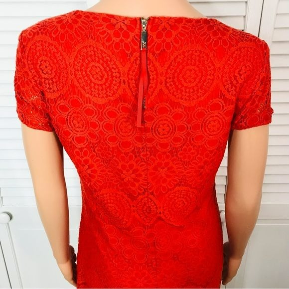LAUNDRY Orange Lace Short Sleeve Dress Size 6