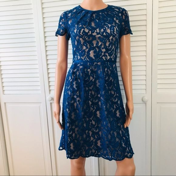 ADRIANNA PAPELL Royal Blue Lace Short Sleeve Dress Size 2