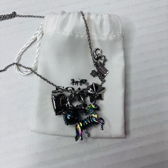 COACH Uni Charm Collectible Necklace Set