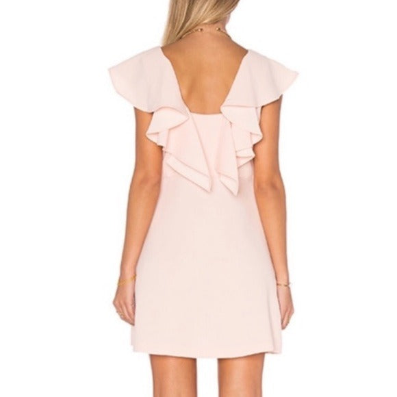 BCBGENERATION Flutter Sleeve Scuba Fabric Dress in Powder Blush Size 2