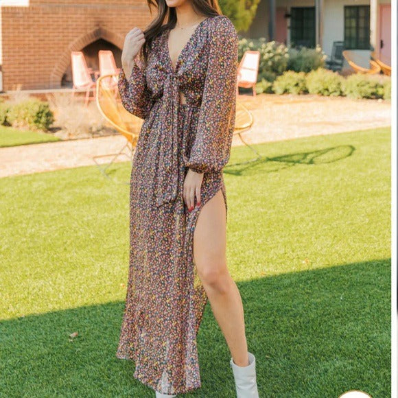 New BUDDY LOVE Desirae Long Sleeve Maxi Dress In Burst Size Small