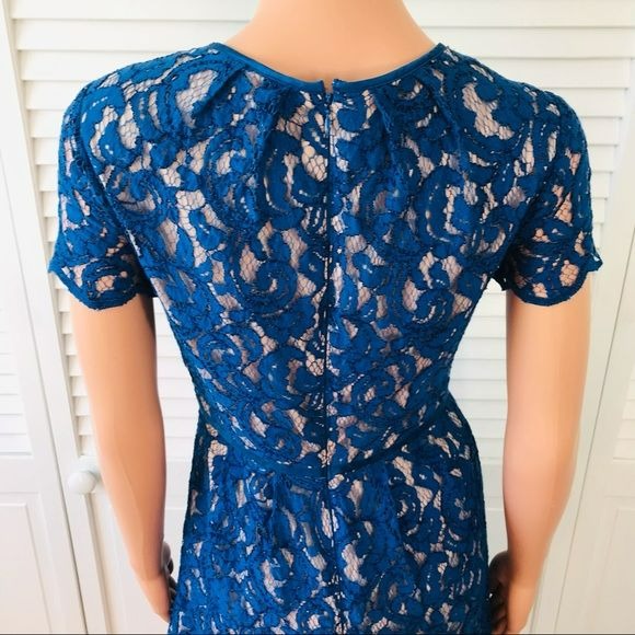 ADRIANNA PAPELL Royal Blue Lace Short Sleeve Dress Size 2