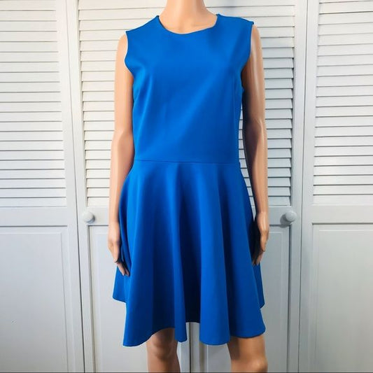 Diane Von Furstenburg Jeanne Blue Fit & Flare Dress Size 12