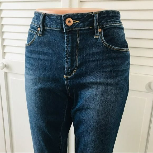 ARTICLES OF SOCIETY Los Angeles Blue Jeans Size 31