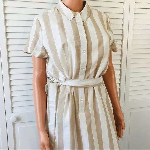 A LOVES A Tan Ivory Striped Shirt Dress Size L *NWT*