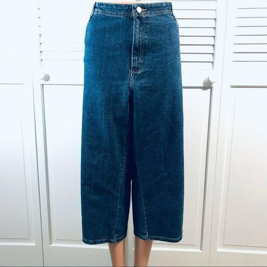 CLASSIC ELEMENTS Blue Capris Jeans Size 22W