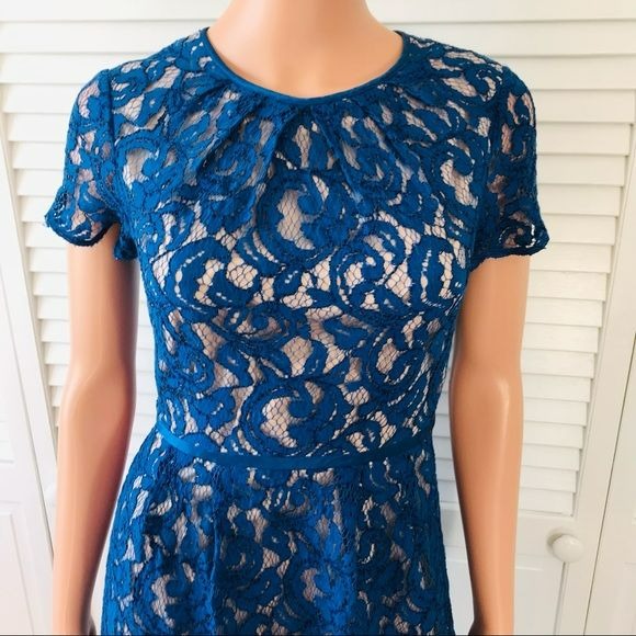 ADRIANNA PAPELL Royal Blue Lace Short Sleeve Dress Size 2