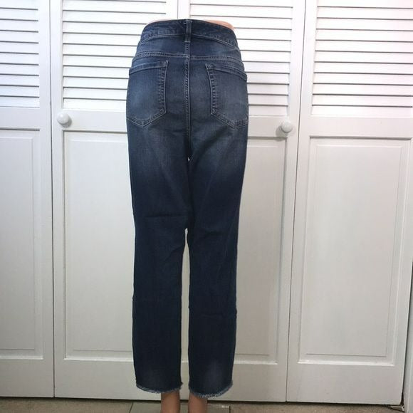 TORRID Premium Boyfriend Raw Hem Jeans Size 18