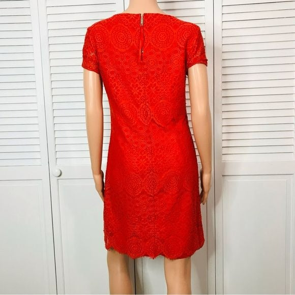 LAUNDRY Orange Lace Short Sleeve Dress Size 6