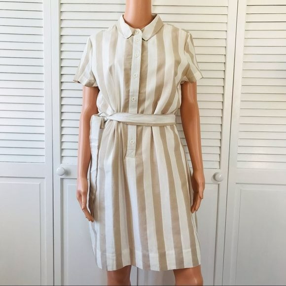 A LOVES A Tan Ivory Striped Shirt Dress Size L *NWT*