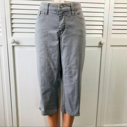 LEE Gray Lower On The Waist Jean Shorts Size 12
